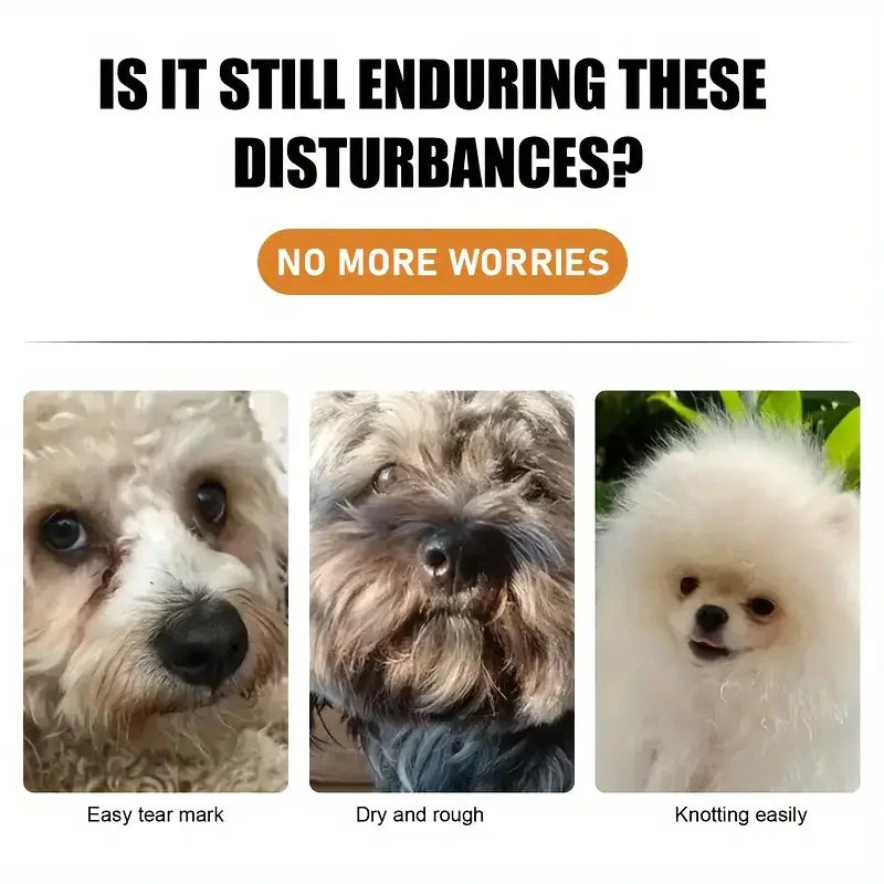 S6b05c10e4e5748b589e5e3a5af07483dV